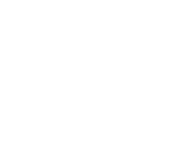 Wells Barnett Associates Wordmark Logo